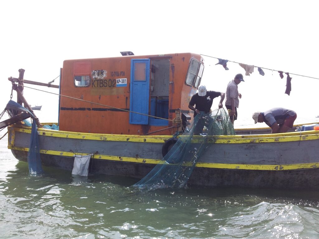 புத்தளம் மற்றும் கல்பிட்டி கடல் நீரேரிகளில் தற்காலிகமாக இழுவை மடி தடைசெய்யப்பட்ட பின் உள்ளூர் மீனவர்களுக்கு சிறந்த மீன் அறுவடை